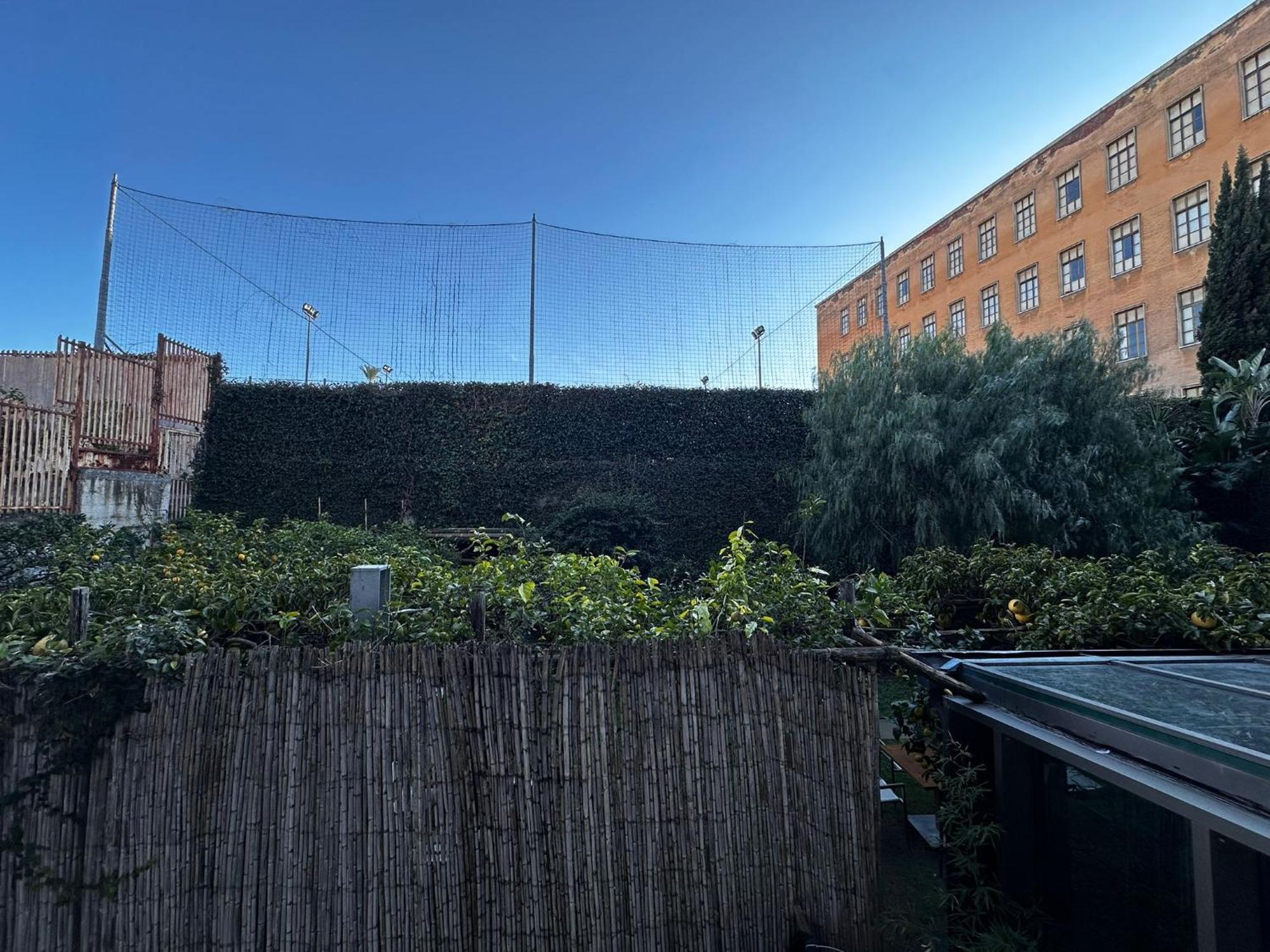 Domus Balcante B&B Pompeya Exterior foto